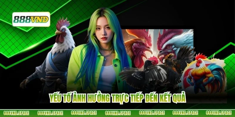 Yếu tố ảnh hưởng trực tiếp đến kết quả